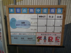 WBGT