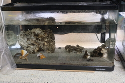 未来会議15